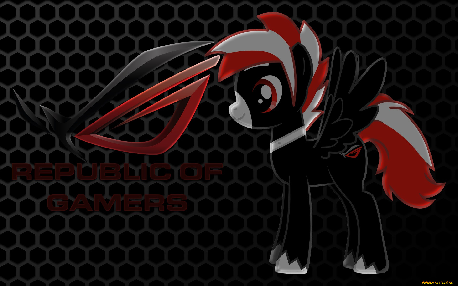 , asus, , 